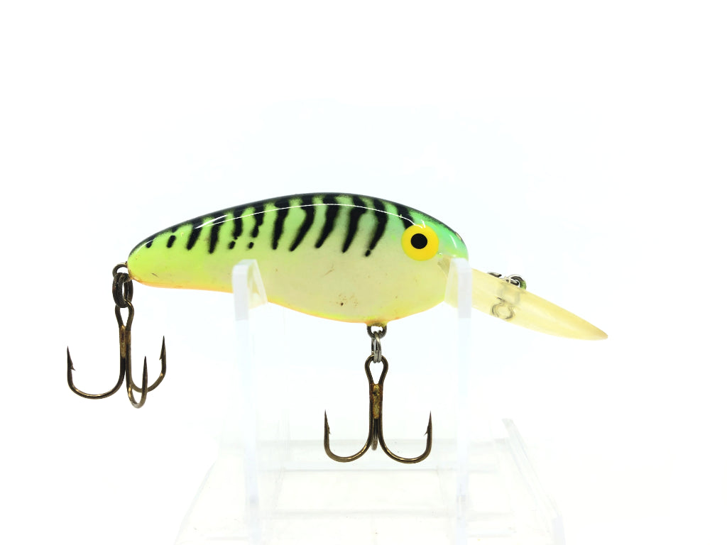 Bomber Deep Flat A Bengal Fire Tiger Orange Belly