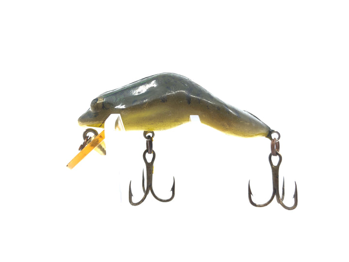 Rebel Wee Frog Green Bullfrog Color