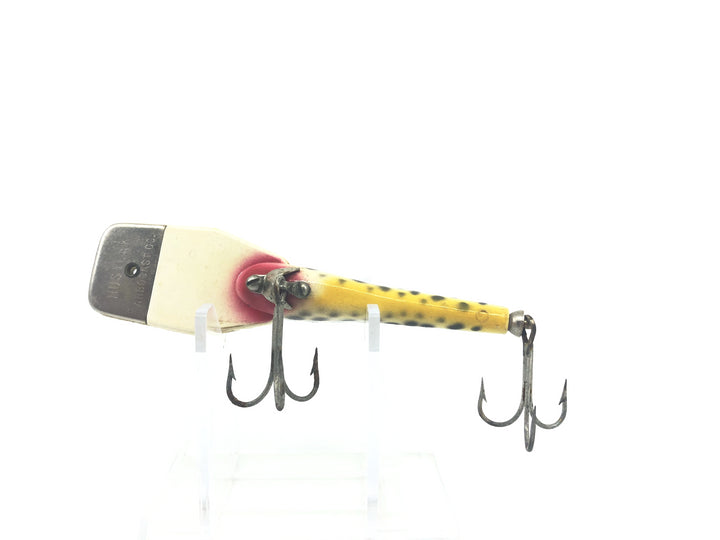 Arbogast Hustler Coachdog Color