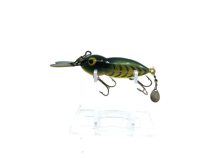 Small Bomber Waterdog  in Frog Color