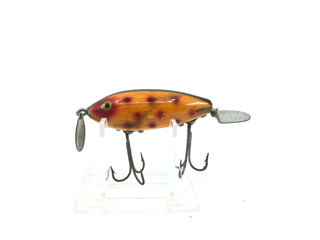 Heddon Go-Deeper Crab, SO Spotted Orange Color