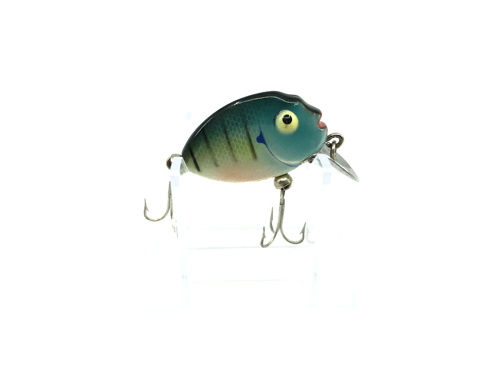 Heddon Tiny Punkinseed Bluegill Color