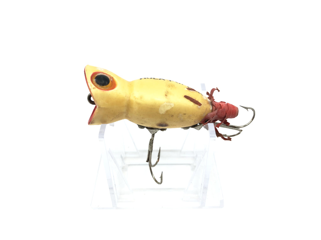 Arbogast Hula Popper Luminous Color
