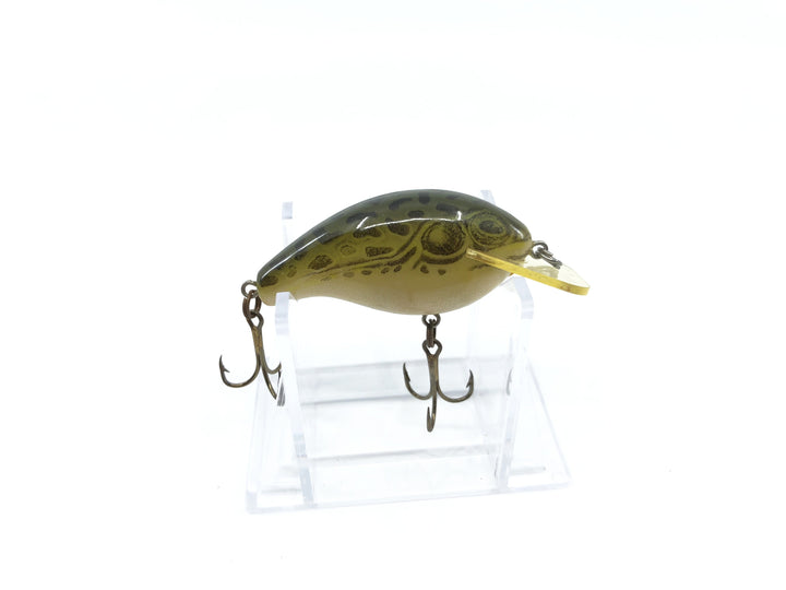 Rebel Wee-R Naturalized Frog Color