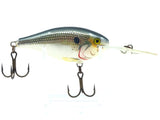 Rapala Medium Diving Lure Shad 