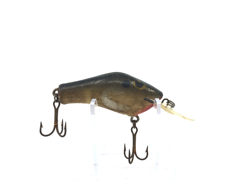 Poe's Lure Brown Scale
