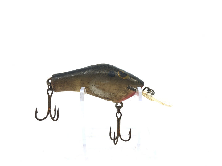 Poe's Lure Brown Scale