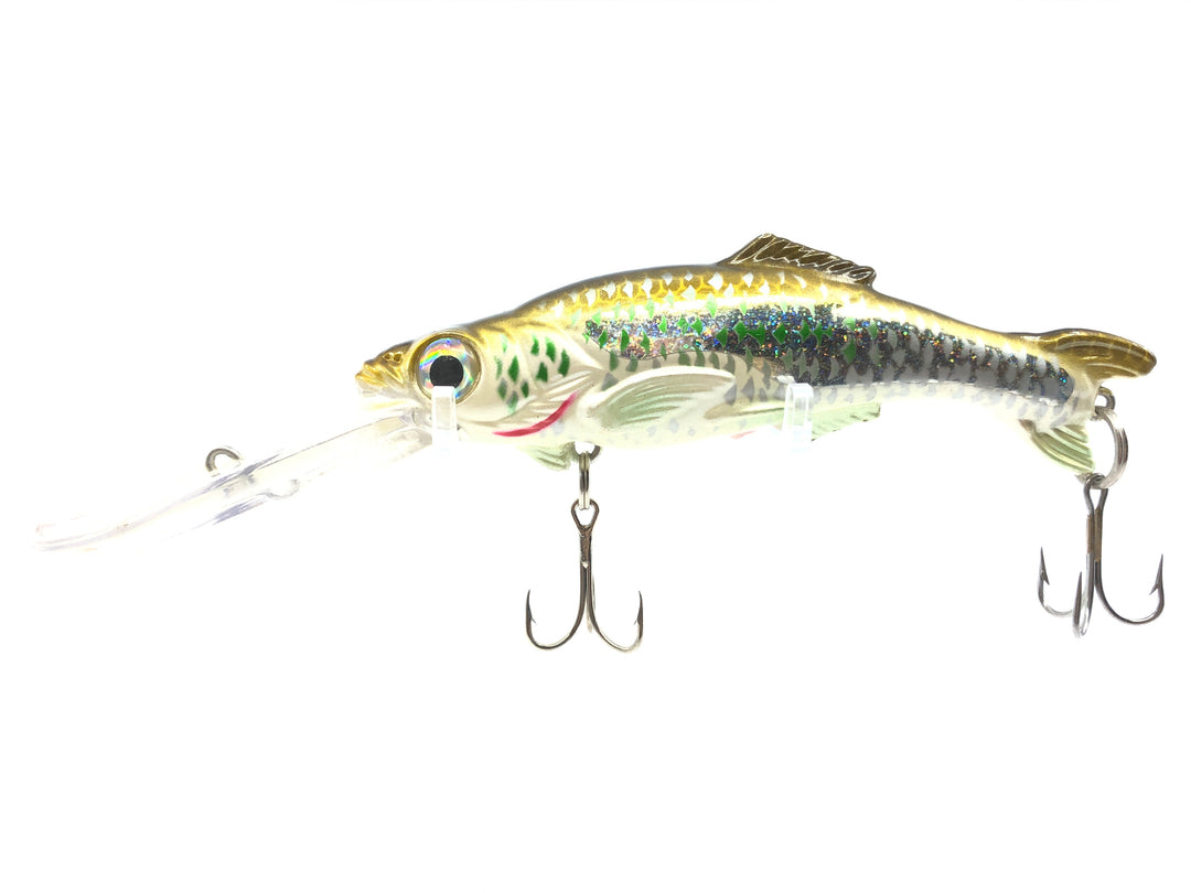 Worden's Sea Tiger BUN Golden Mackerel Salesmen Sample