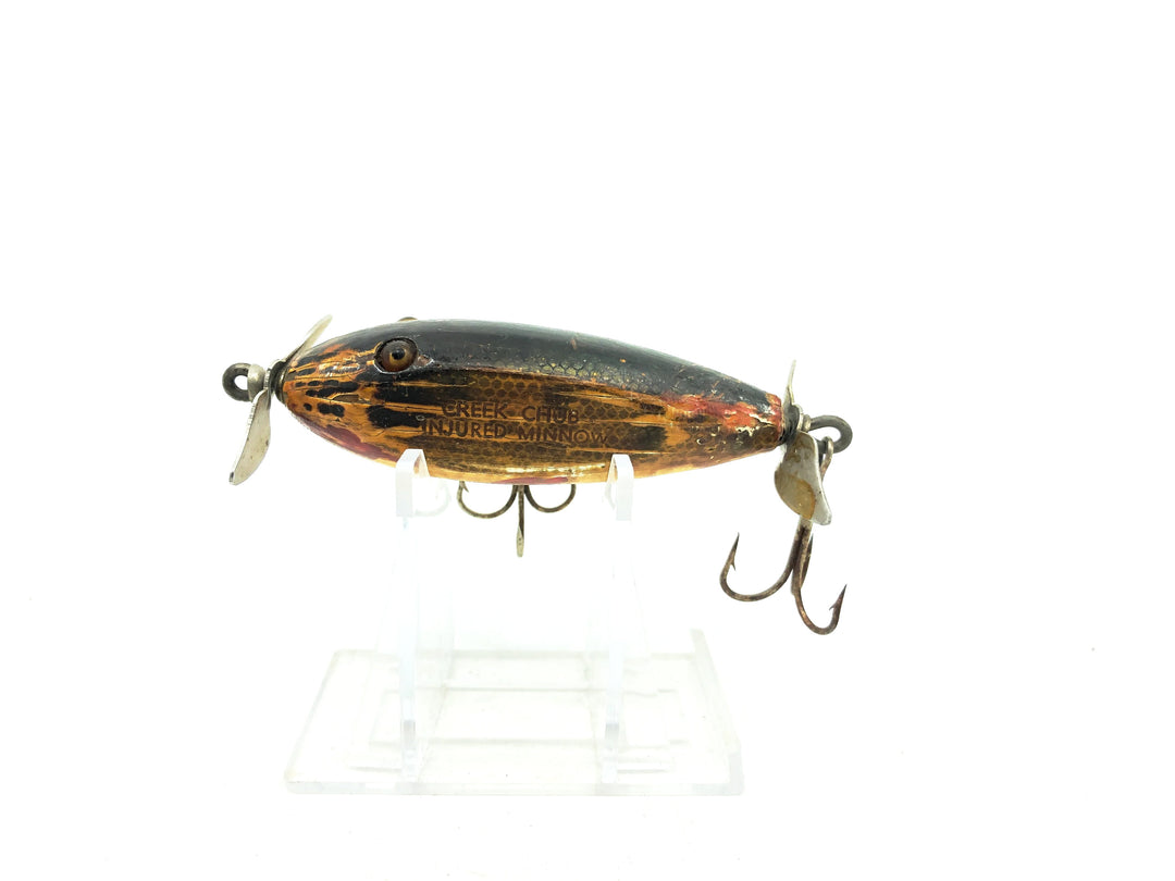 Creek Chub 1600 Baby Injured Minnow in Pikie Color Wooden Lure Glass Eyes-Warrior