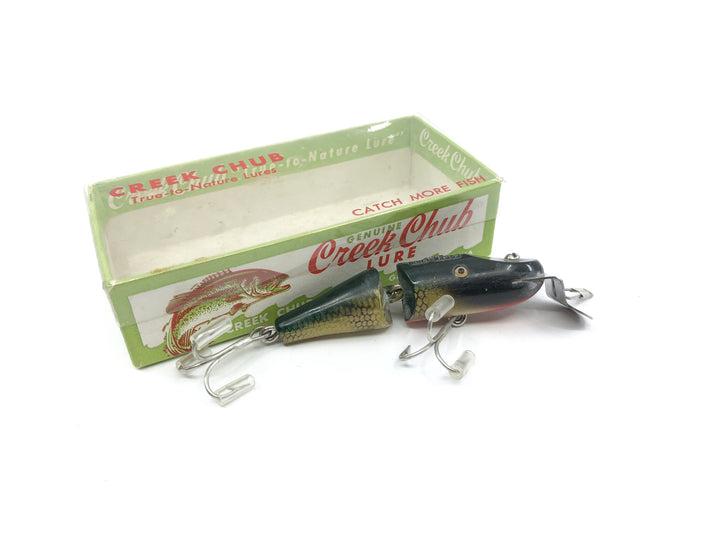 Creek Chub Spinning Jointed Pikie Perch Color with Box