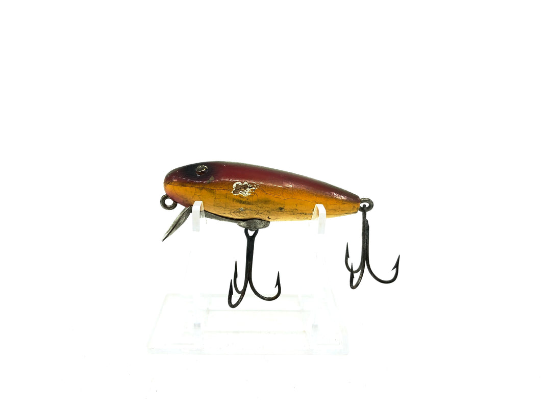 Paw Paw River Rustler Rainbow Color