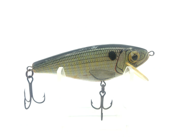 Rebel Natural Shad