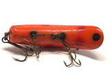 Helin Flatfish SPS Orange with Black Spots