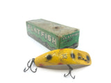 Helin Flatfish with Box X5 Y Yellow with Spots