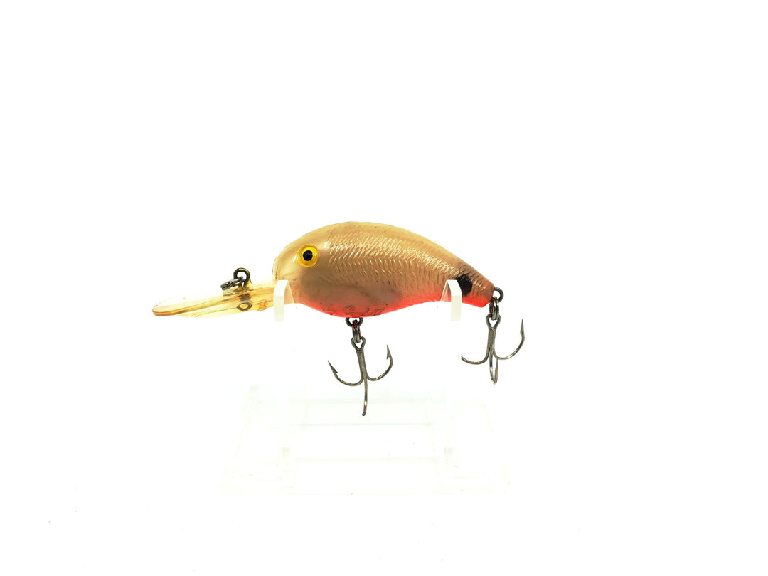 Cordell Deep Big-O Bone/Orange Belly Color