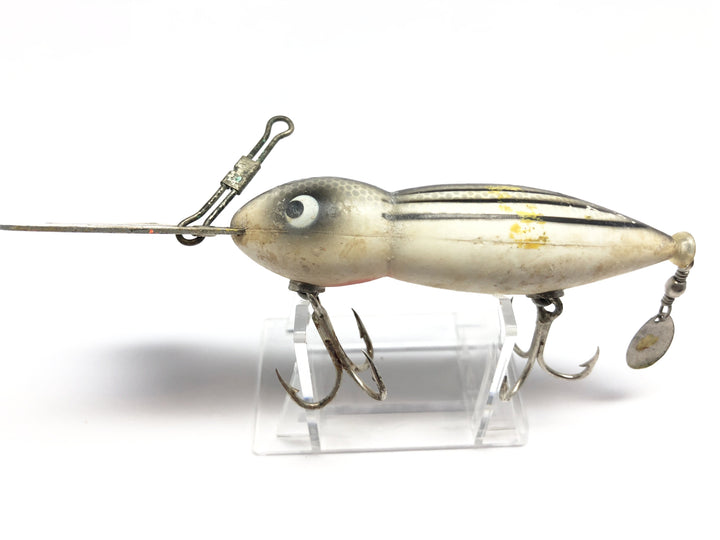 Large Bomber Waterdog or Hellbender in White Chipmunk Color