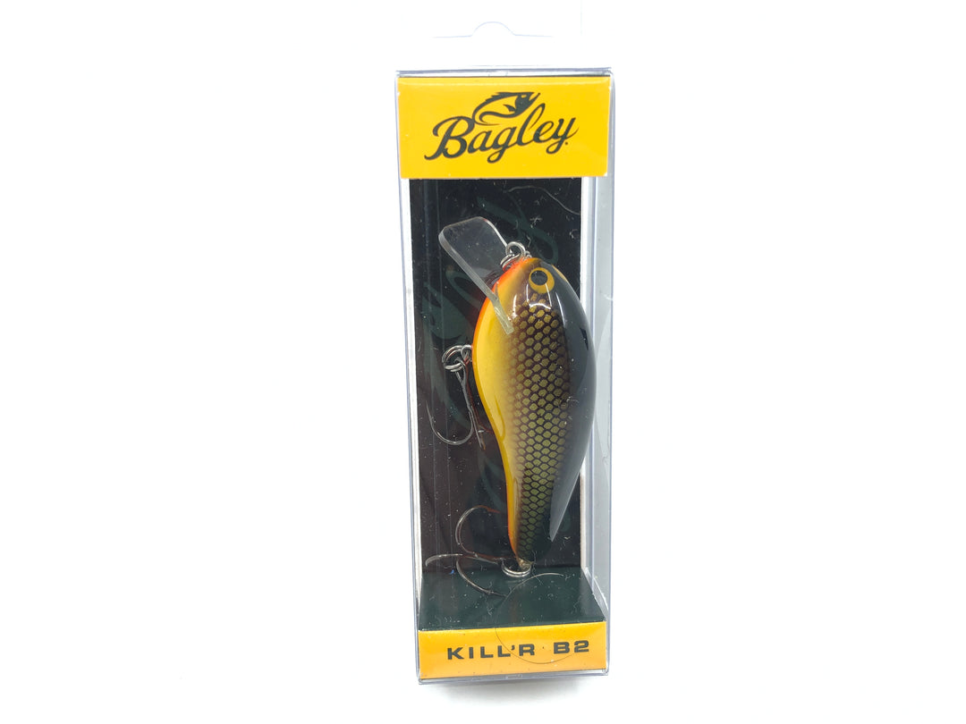 Bagley Kill'r B2 KB2-GST Gold Tennessee Shad Color New in Box OLD STOCK2
