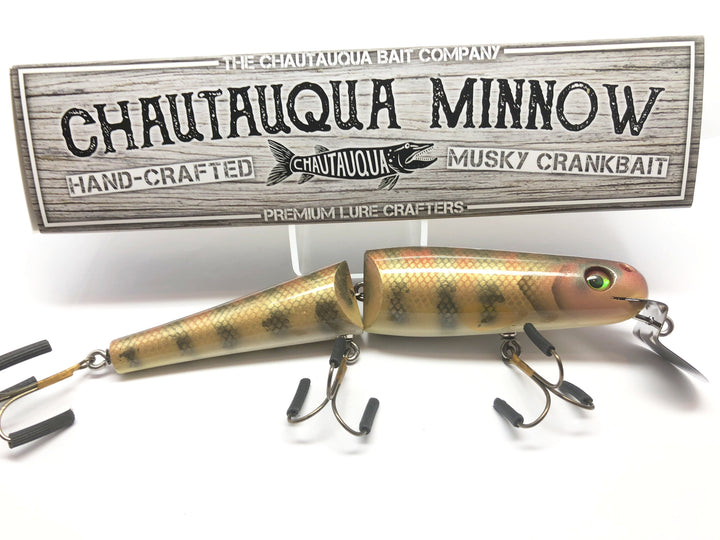 Jointed Chautauqua 8" Minnow Musky Lure Special Order Color "HD Red Perch"