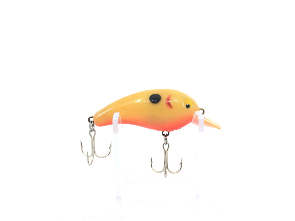 Cordell Big-O Bone Color