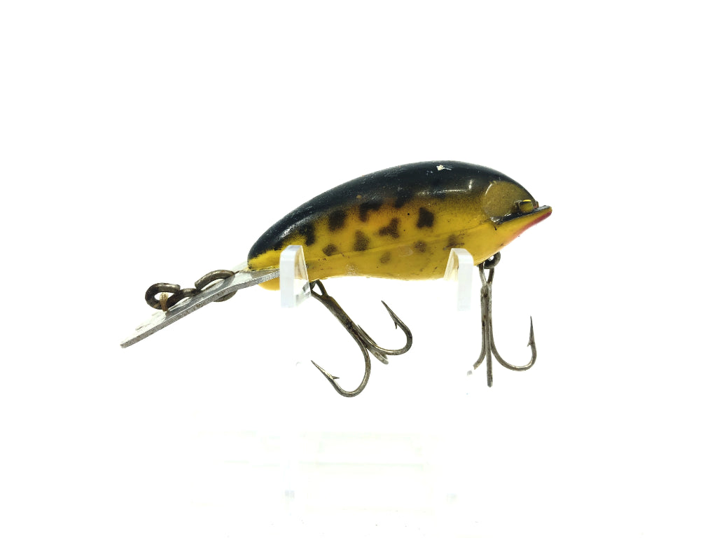 Arbogast Mud Bug Coach Dog Color