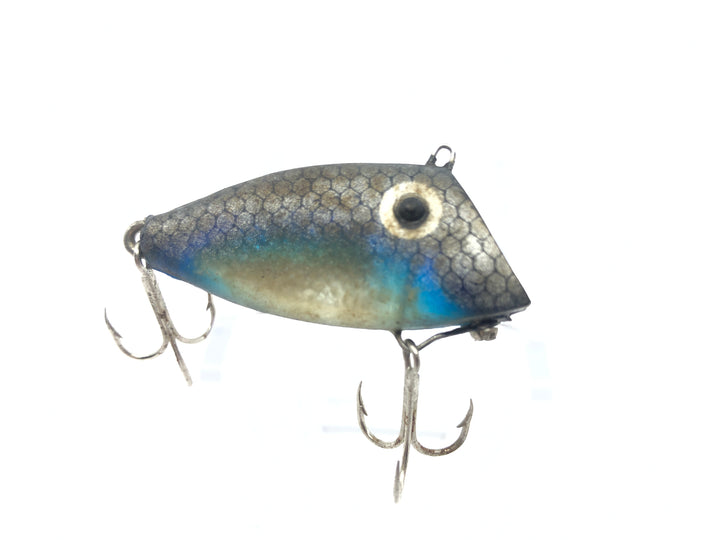 PICO Chico Blue and Silver Scale