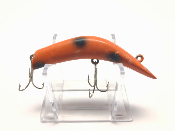 Lazy Dazy Orange with Black Spots Color