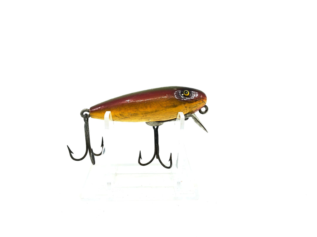 Paw Paw River Rustler Rainbow Color