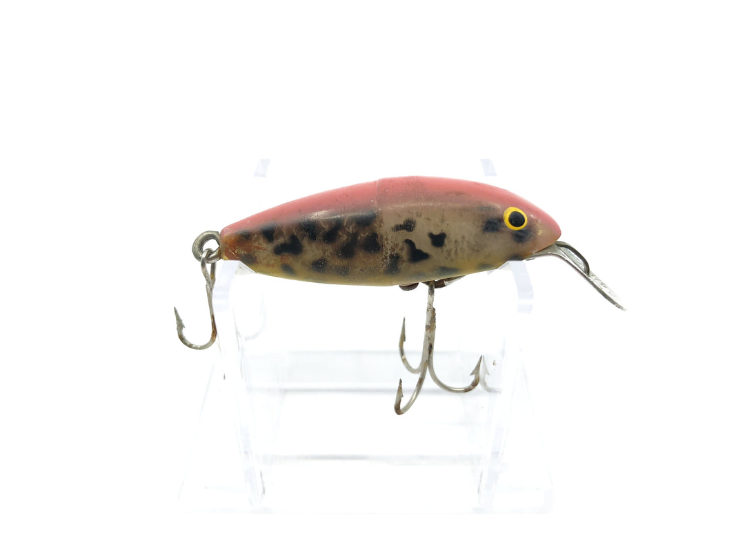Cisco Kid Vintage Lure Rainbow Trout Color