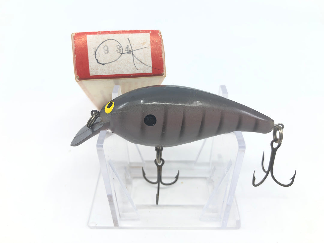 Norman Little N Square Bill with Red Box Purple with Black Stripes Color