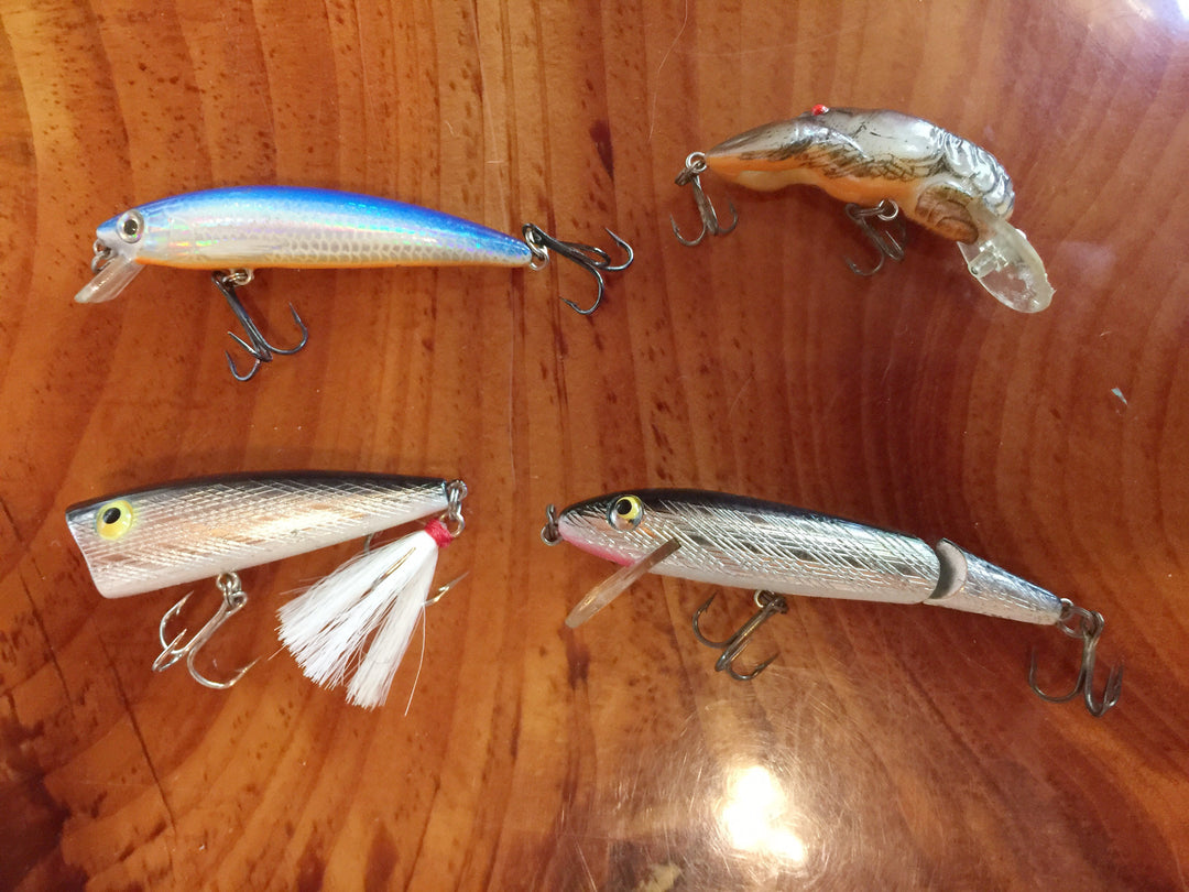Rebel lures lot of Four!