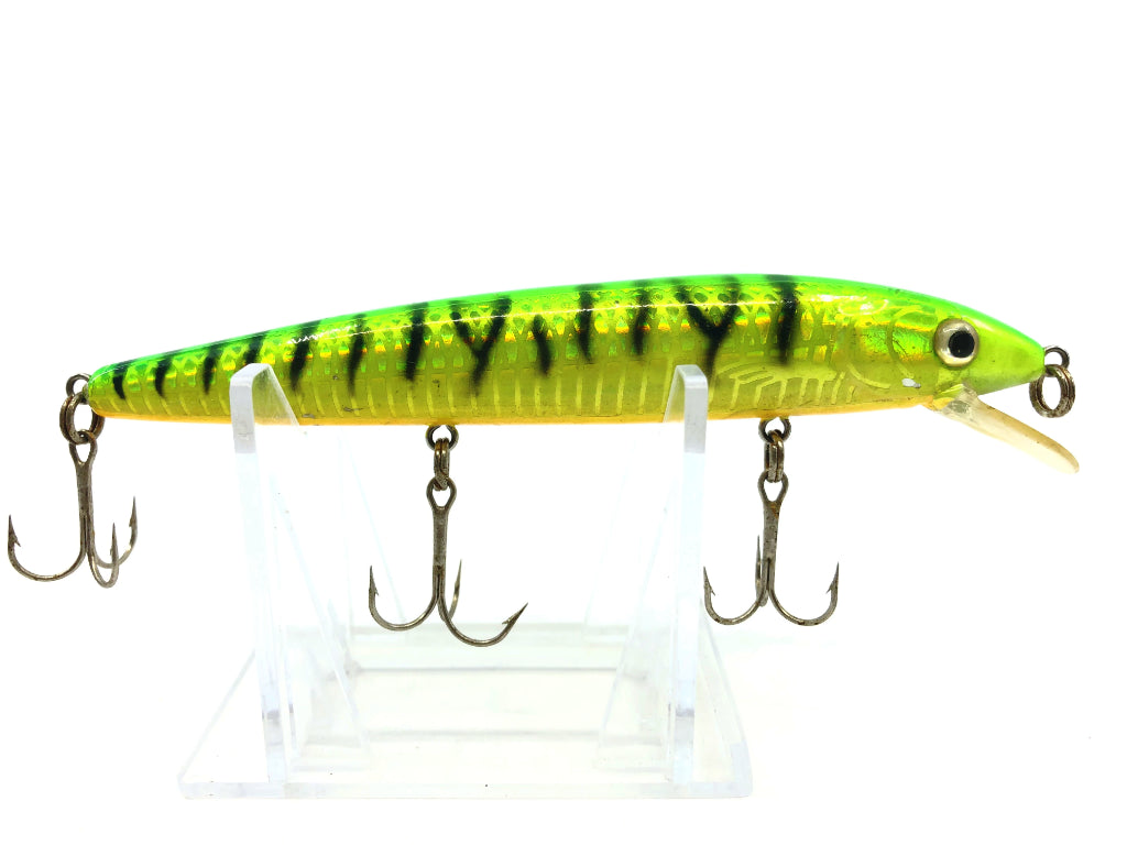 Holographic Fire Tiger Minnow