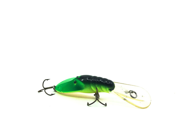 B.H. Bass Magnet Fire Tiger Color