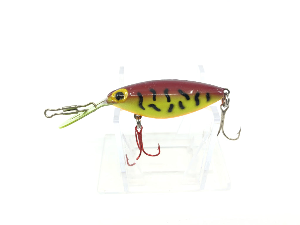Storm Hot 'N Tot H82 Purple Tiger Color