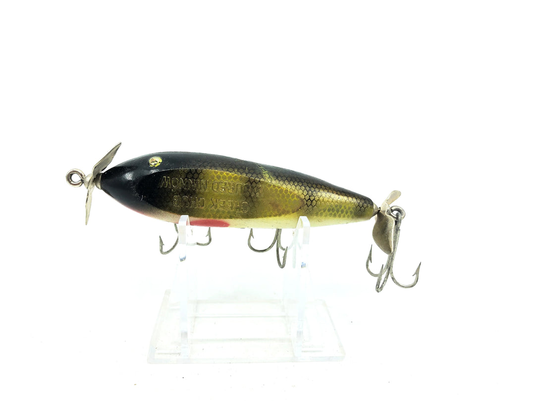 Creek Chub 1500 Injured Minnow in Perch Color 1501