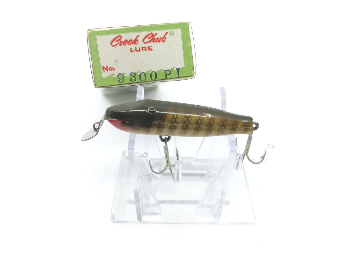 Creek Chub 9300 PI Spinning Pikie with Box Pike Color