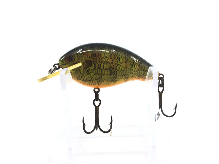 Rebel Wee R Naturalized Perch Color