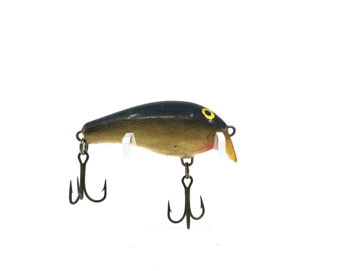 Rapala Fat Rap Shallow Gold and Black