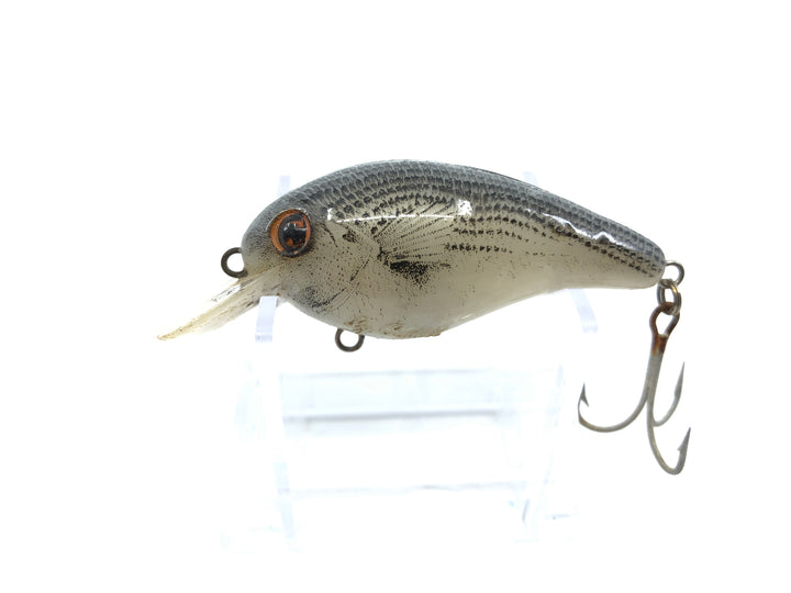 Cordell Big-O Striped Bass Color