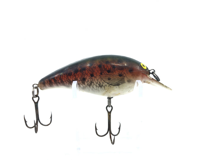 Bill Norman Sparkling Little N Color #N42 Natural Rainbow Trout