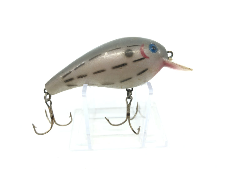 Cordell Big-O Gray with Black Dashes Classic Color