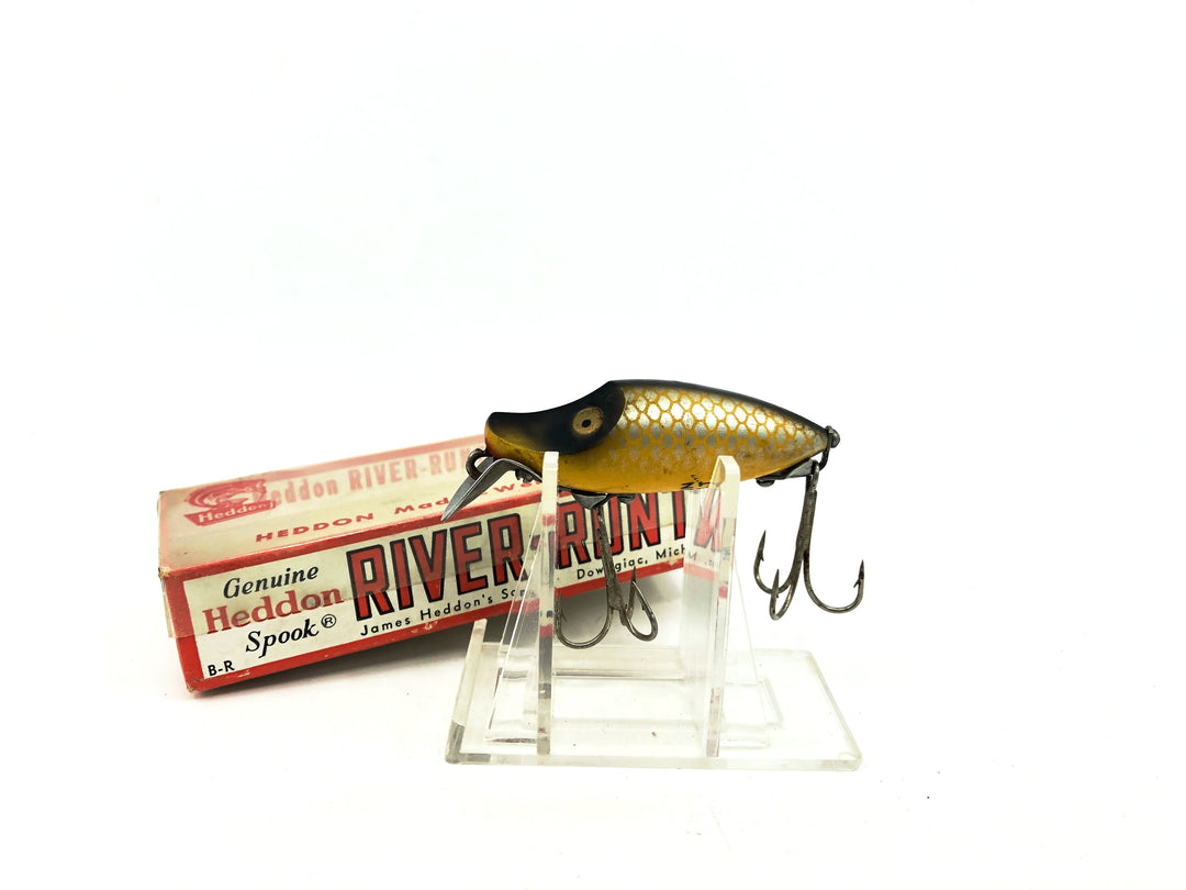 Heddon Midget River Runt Spook PG Golden Shiner Color with Box  - Plastic Top Box