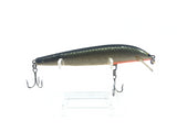 Gold Scale Minnow