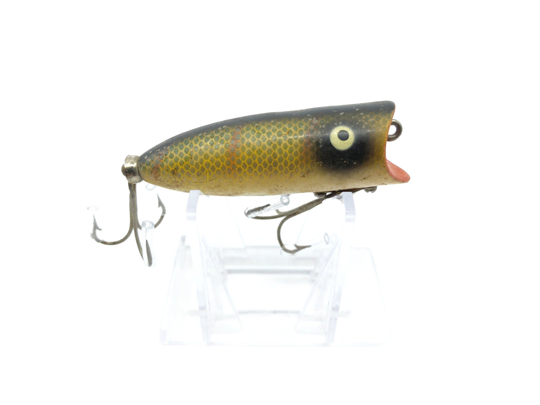 Heddon Baby Lucky 13 PCH Perch Color