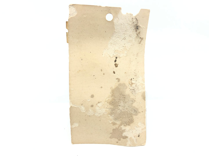 Bagley Small Fry Shad 4DSF2-SH4 Shad on White Color New on Card