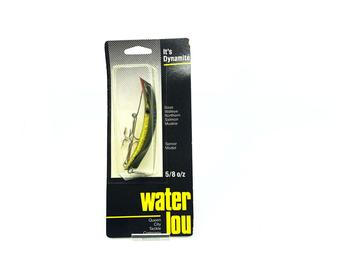 Queen City Tackle Company Senior Model Water-Lou CHF Gold Chub-Dark Green Top Color on Card