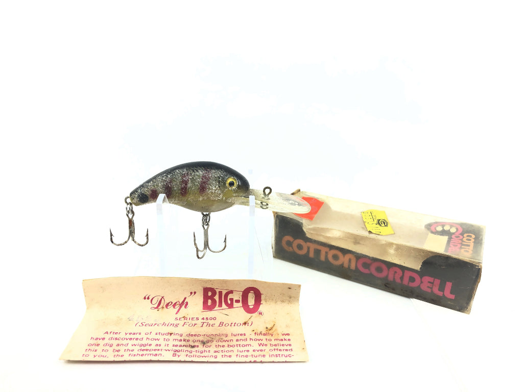 Cotton Cordell Deep Big-O Red Ribs Color with Box