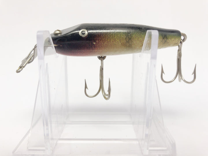 Creek Chub AL&W Spinning Pikie Perch Color