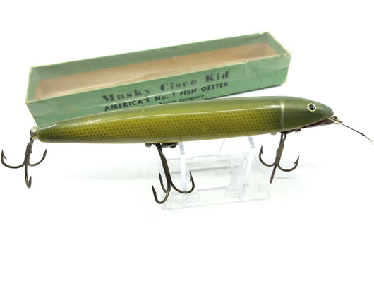 Walsten Musky Cisco Kid with Box 602 Pike Color