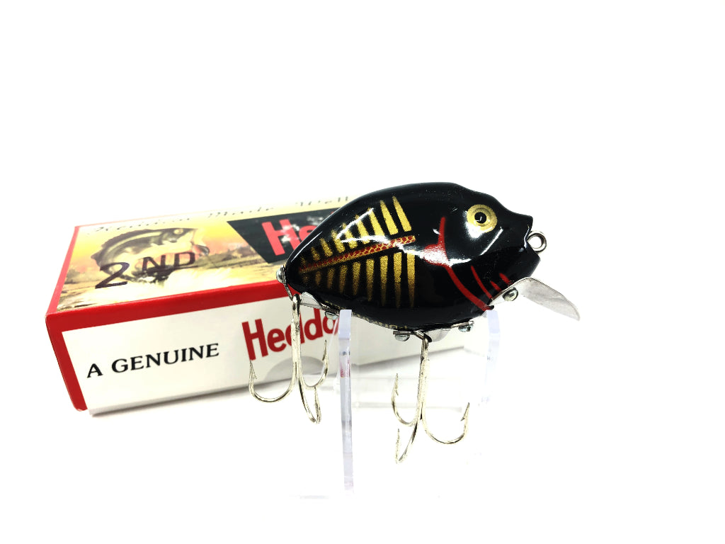 Heddon 9630 2nd Punkinseed X9630BKGBR Black & Gold Shore Color New in Box
