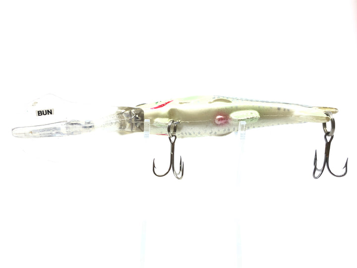 Worden's Sea Tiger BUN Golden Mackerel Salesmen Sample